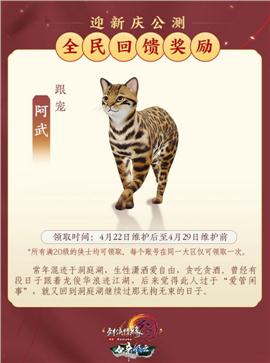 天龙八部私服自架